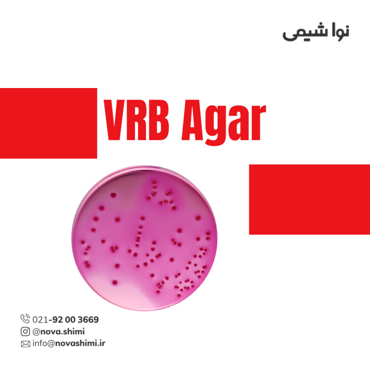 محیط کشت ویولت رد بایل آگار مرک (Violet Red Bile Agar)