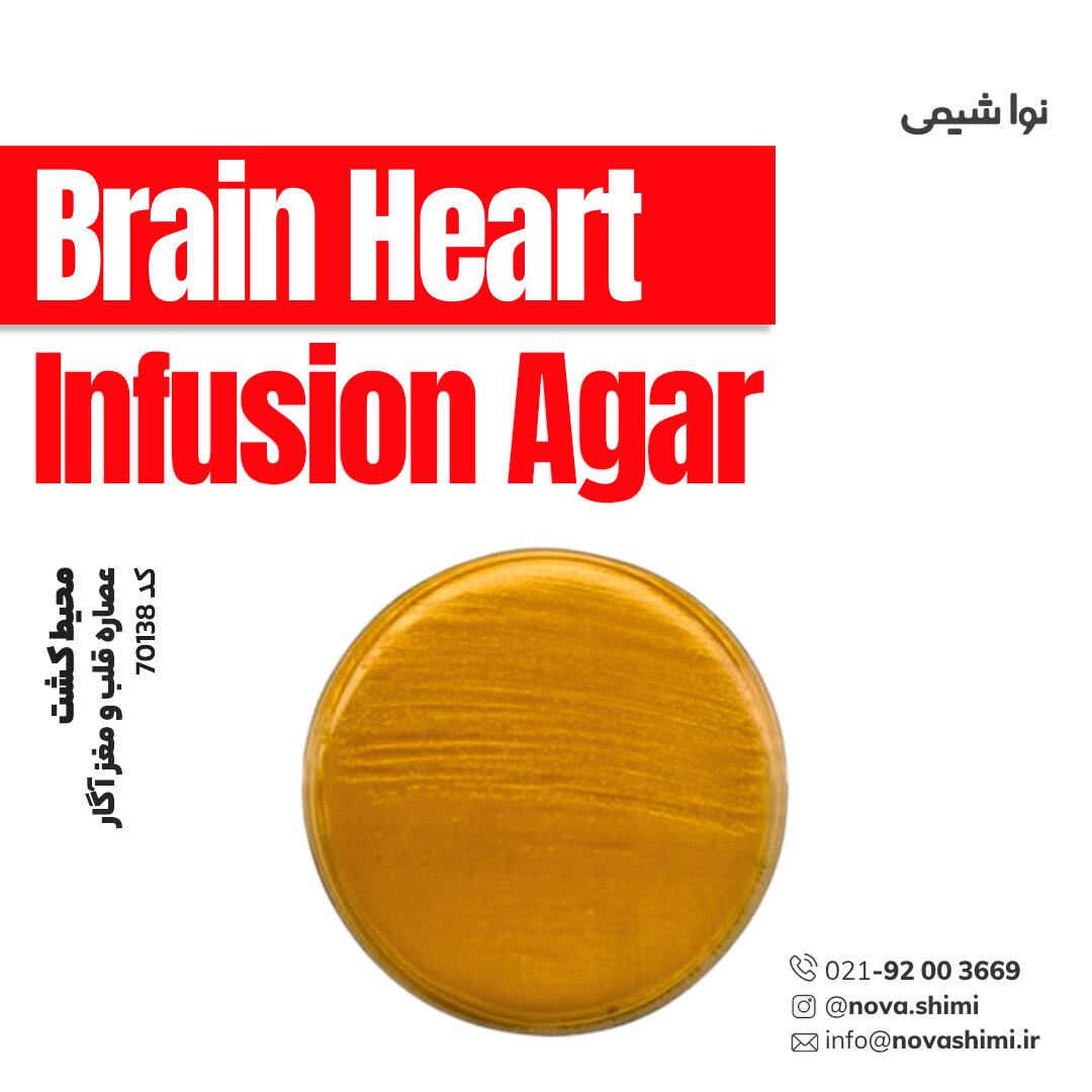 محیط کشت عصاره مغز و قلب آگار (BHIA) (Brain Heart Infusion Agar)