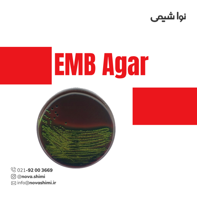محیط کشت EMB آگار مرک (Eosin Methylene Blue Agar)