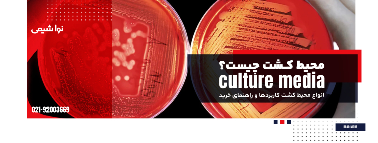 محیط کشت چیست؟ انواع محیط‌ کشت، کاربردها و راهنمای خرید