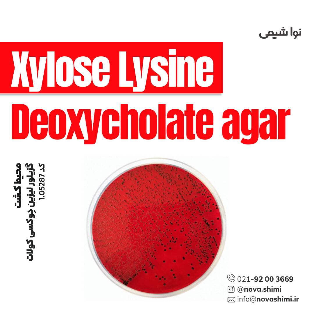 محیط کشت گزیلور لیزین دِوکسی کولات (XLD) (Xylose Lysine Deoxycholate agar)