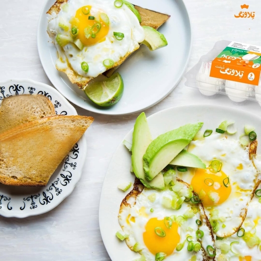 شرکت صنایع غذایی تلاونگ