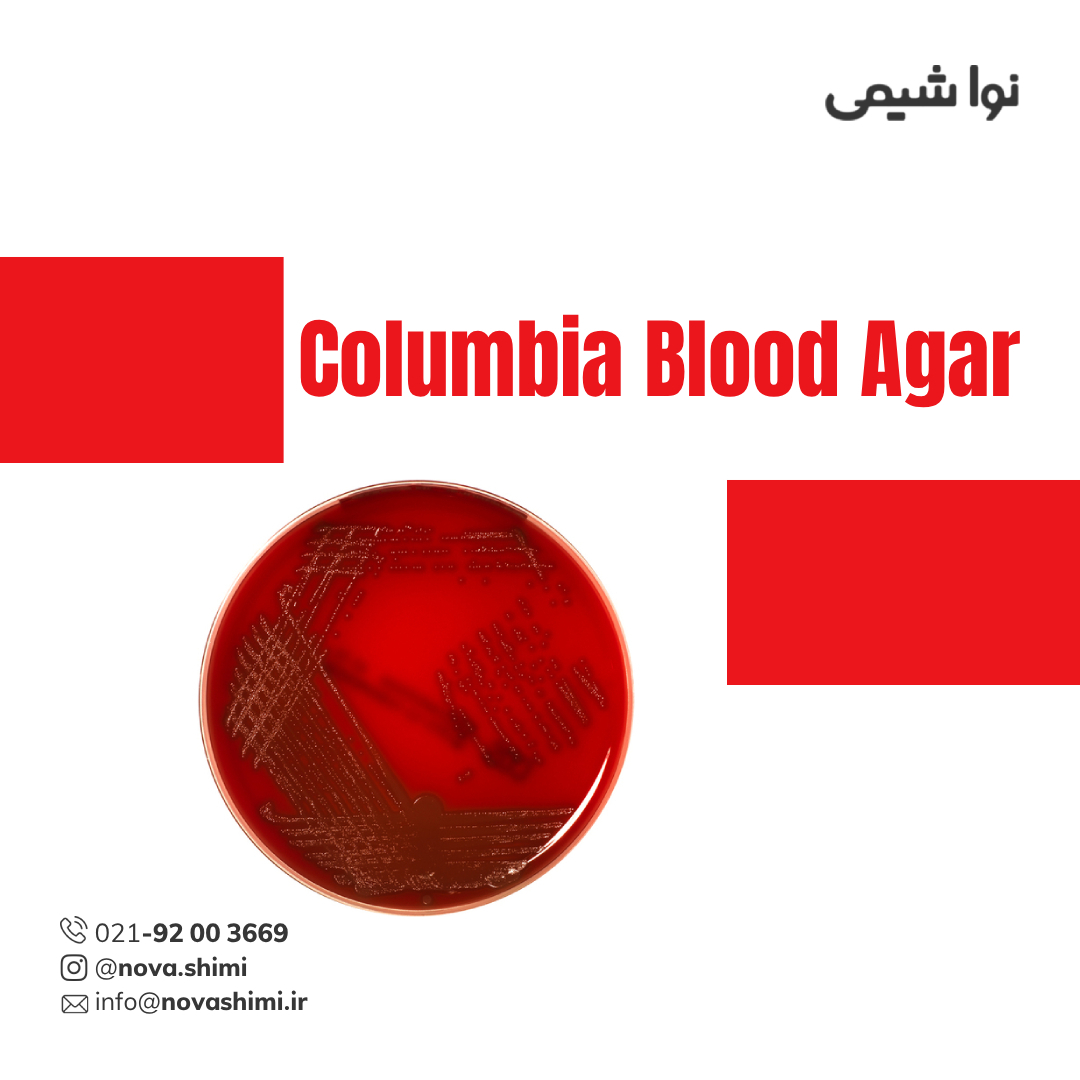 محیط کشت کلمبیا بلاد آگار مرک (Columbia Blood Agar)