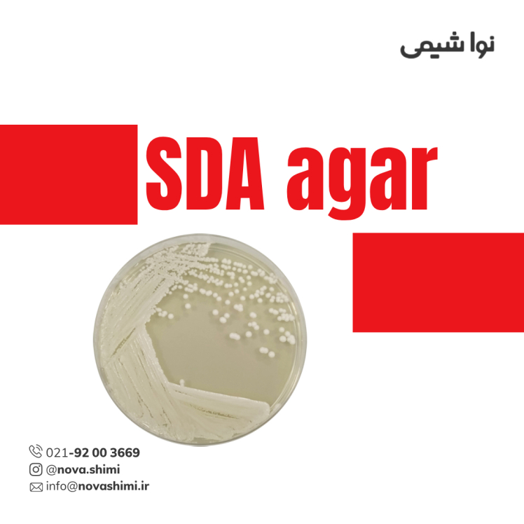 محیط کشت سابرو دکستروز آگار (SDA) مرک (GranuCult® prime SDA)