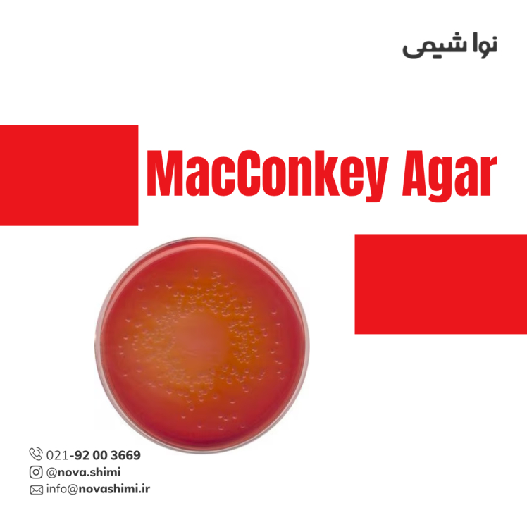 محیط کشت مک کانکی آگار مرک (MacConkey Agar)