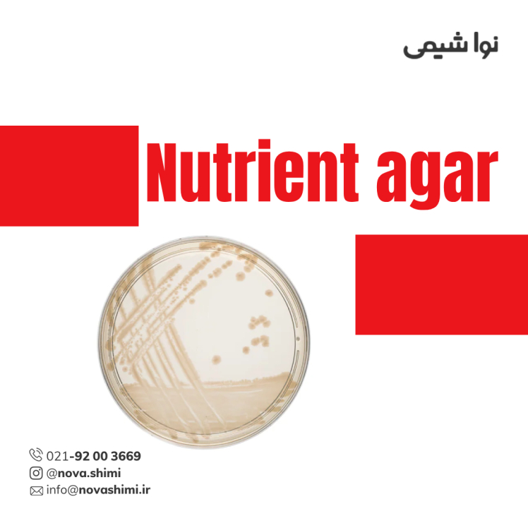 محیط کشت نوترینت آگار (GranuCult® Nutrient agar)