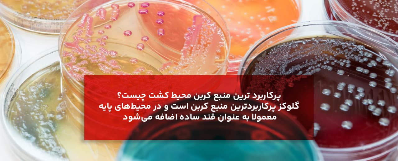 محیط کشت چیست؟ انواع محیط کشت، کاربردها و راهنمای خرید