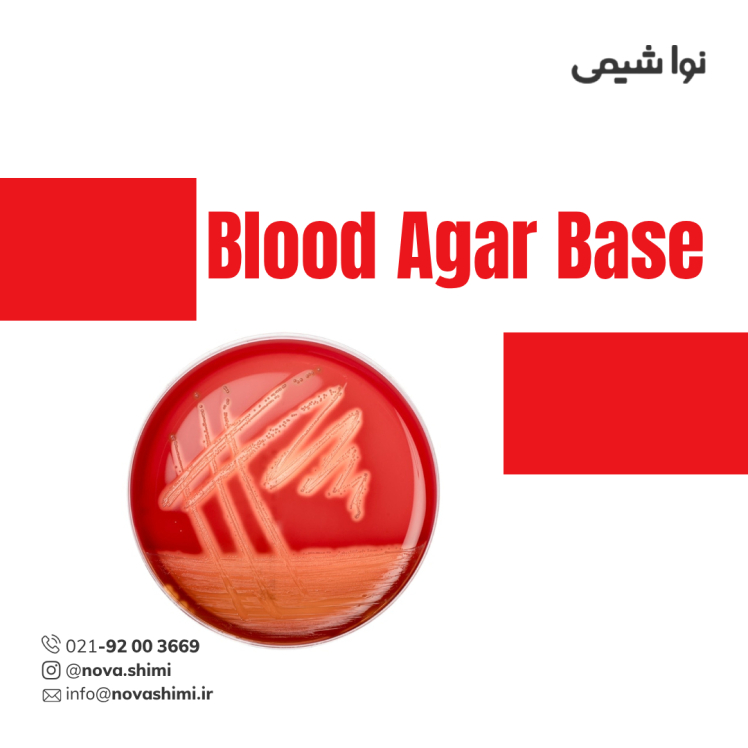 محیط کشت بلاد آگار مرک (Blood Agar (BA))