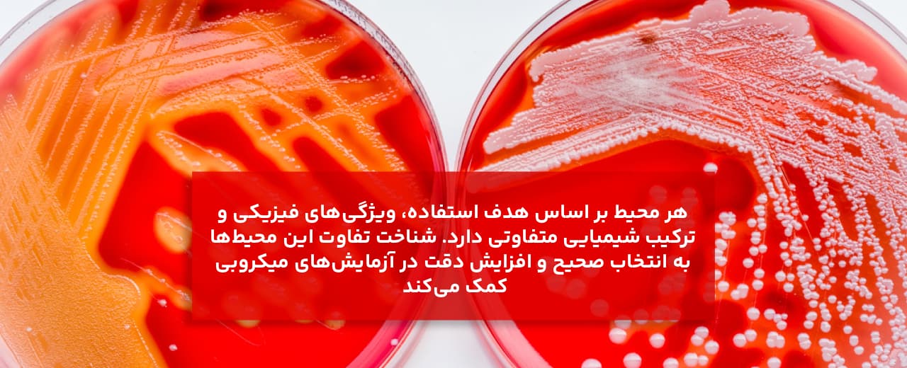 کاربرد انواع محیط کشت چیست؟