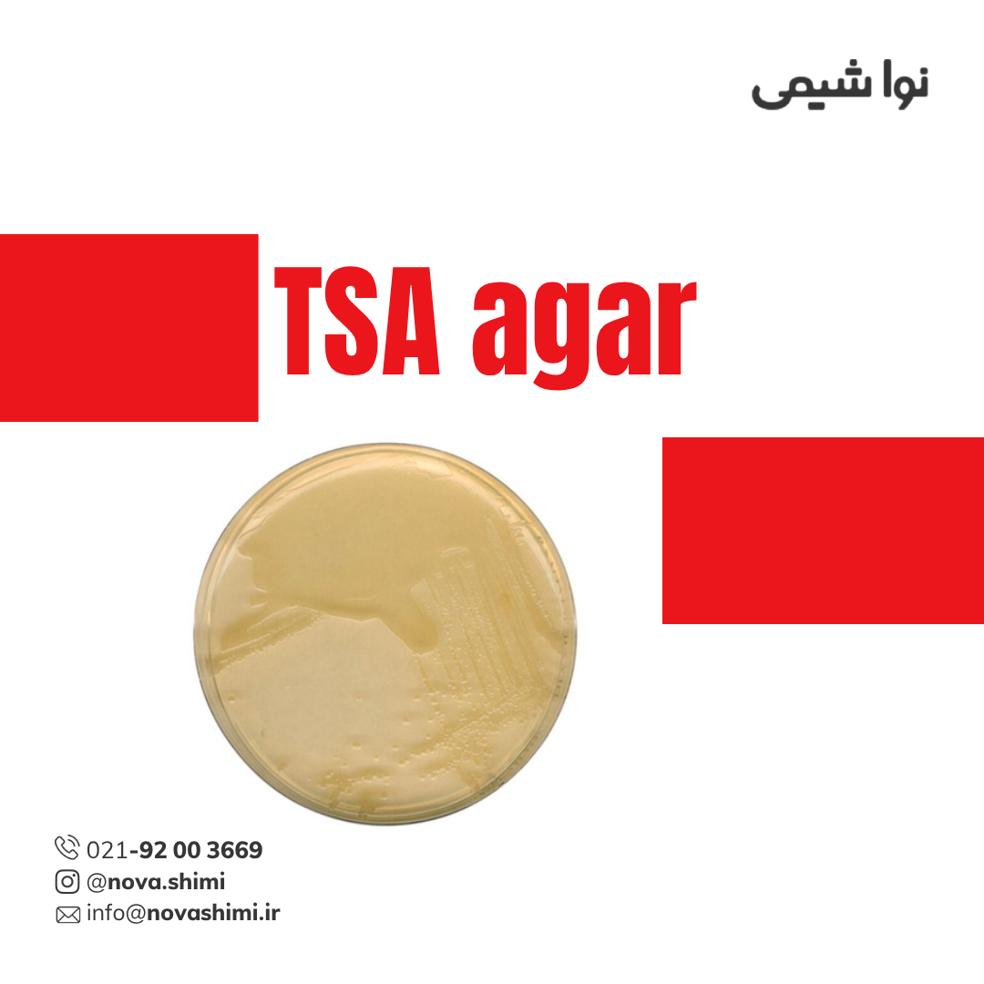 محیط کشت تریپتیک سوی آگار (TSA) مرک (GranuCult® TSA)