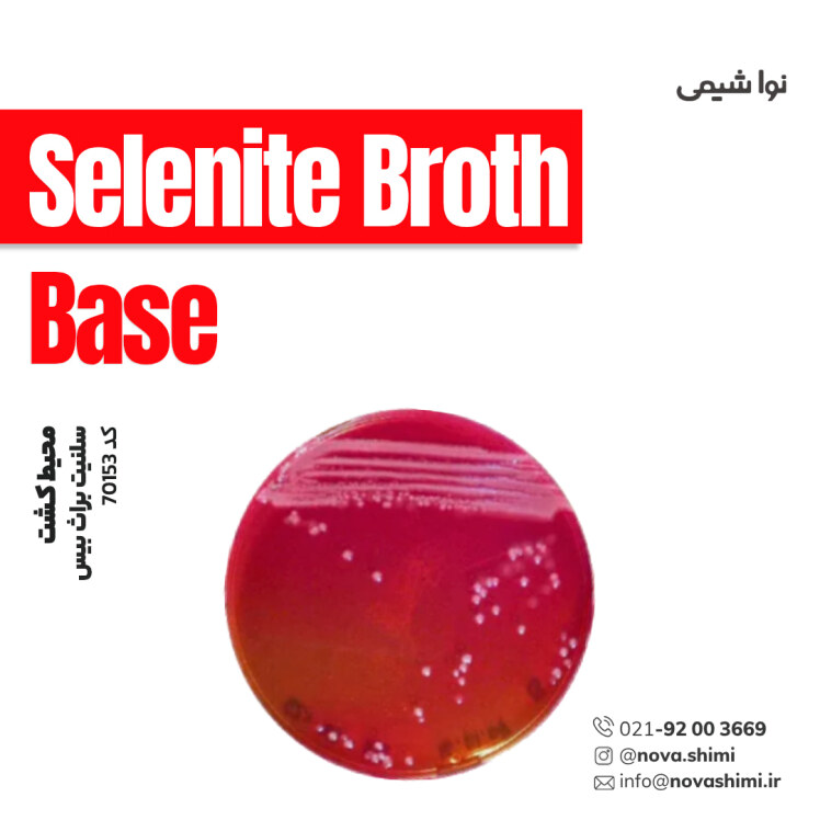 محیط کشت سلنیت براث (Selenite Broth (Base))