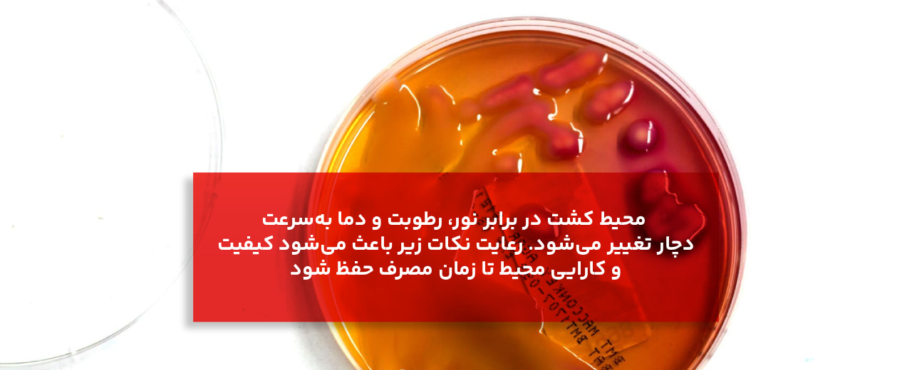 نکات نگهداری و کنترل کیفیت محیط کشت چیست؟