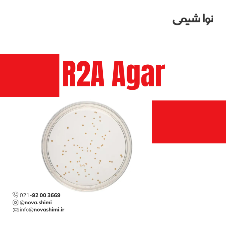 محیط کشت R2A آگار مرک (R2A Agar)